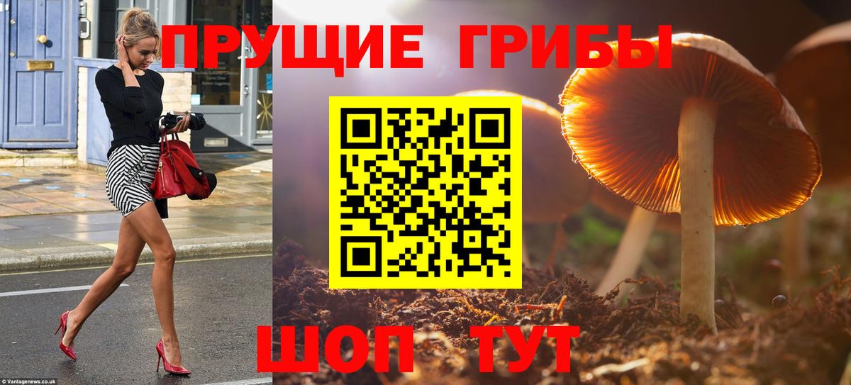 Орск  Галлюциногенные грибы MAGIC MUSHROOMS  Вход с VPN  Галлюциногенные грибы Psilocybe 